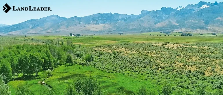 Investment potential of california