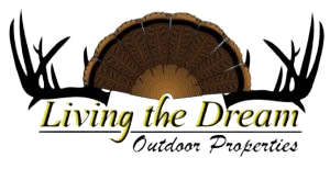 broker6-300x154-1-removebg-preview