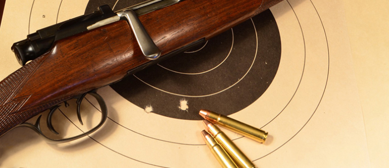 nilgai antelope hunting