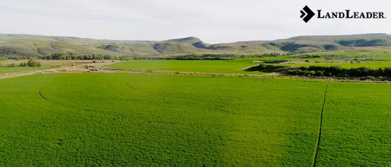 Agriculture land for sale