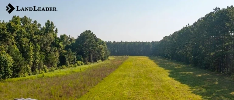 Alabama hunting lands for sale