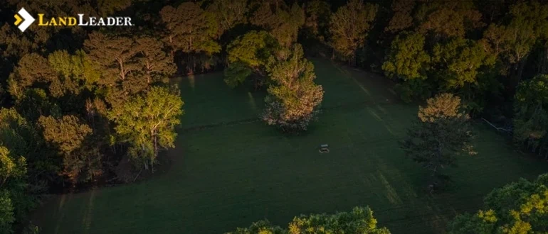 Alabama hunting lands for sale a hunter