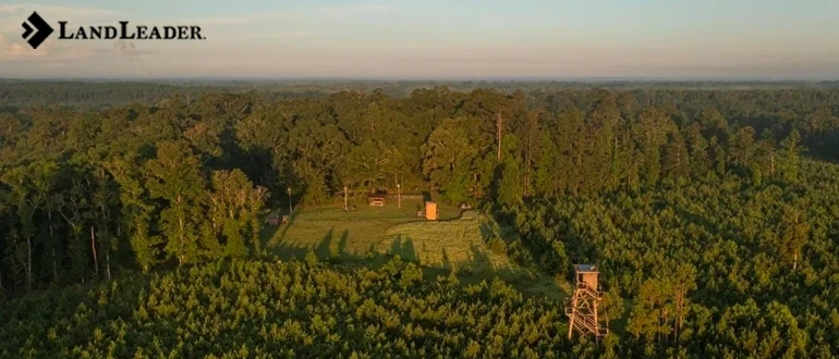 Alabama hunting lands for sale a hunters paradise 3