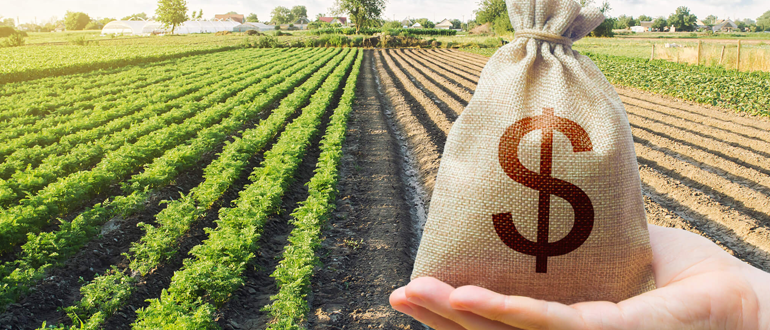 Benefits of Investing