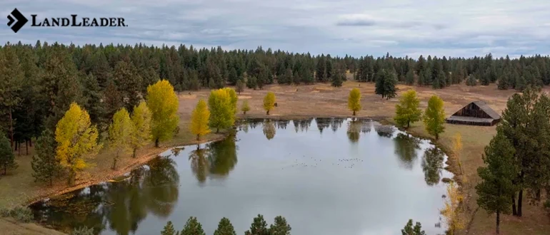 Benefits of Investing