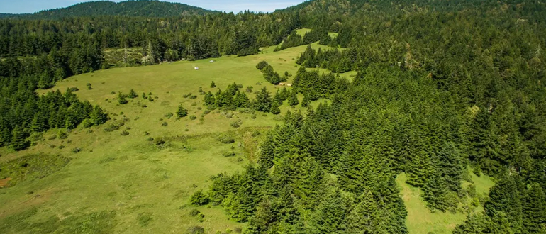 buying land vs buying house