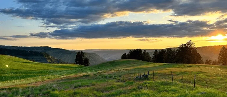 Camp 9 hunting ranch