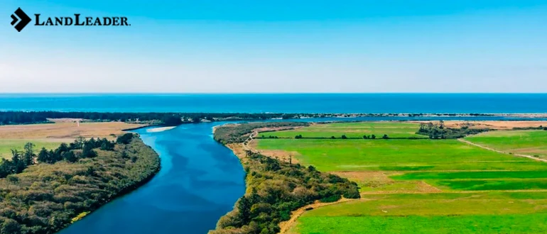 Choosing your perfect