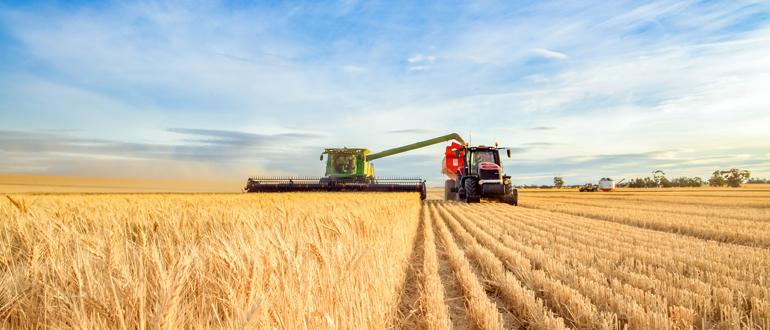 Divesting a farmland