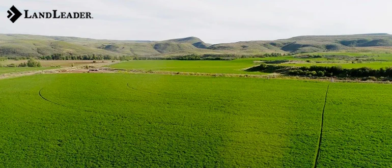 New Mexico farm land for sale