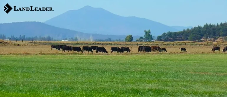 Farms and ranches for sale in Colorado exploring