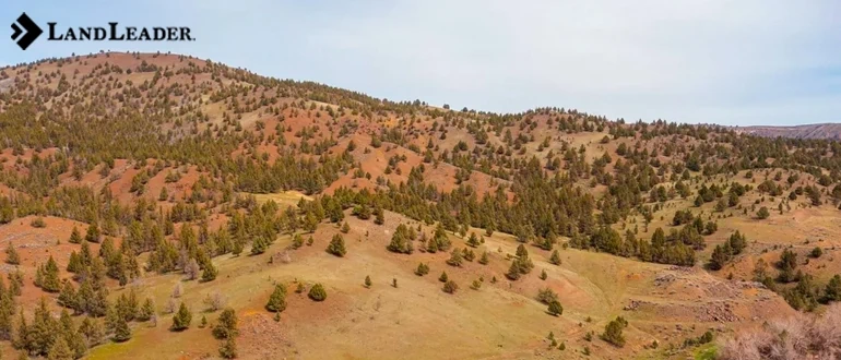 Finding your ideal rural property