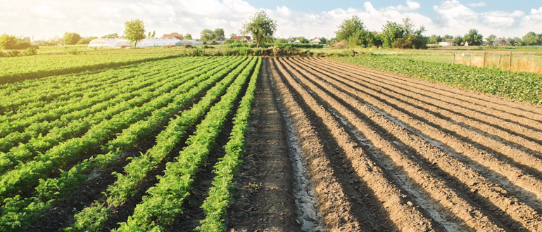 How to start a farm tips