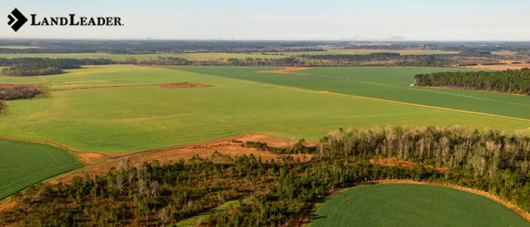 land for sale in Shelby County Alabama