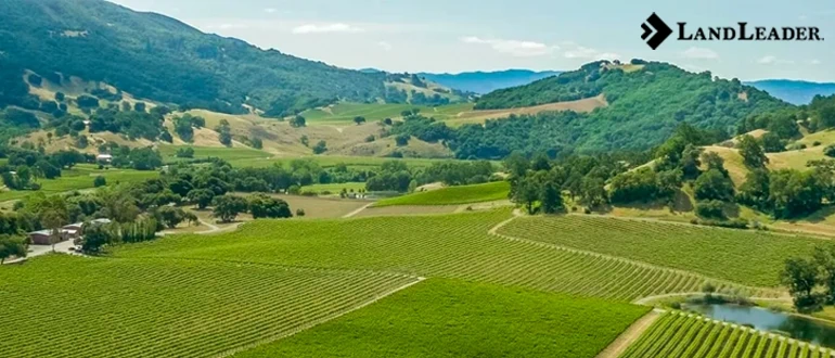 Innovative Real estate marketing strategies