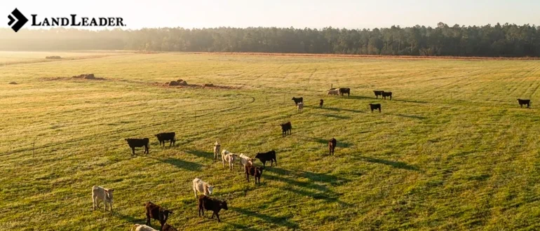 Investment worthy land