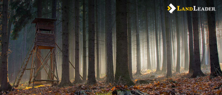 Is Timberland a Good Investment