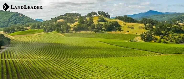 Land for sale in amador