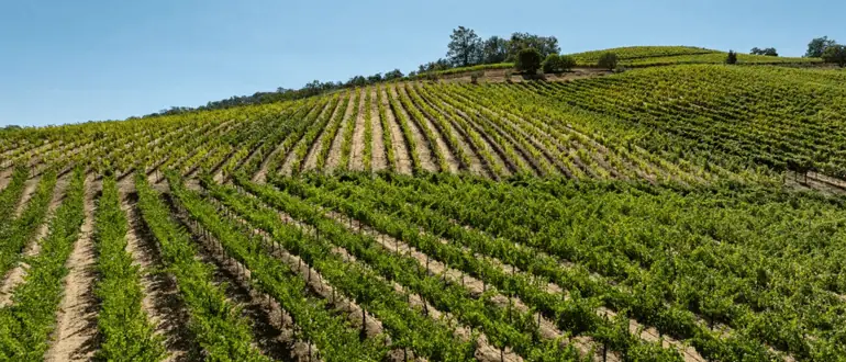 landleader your partner