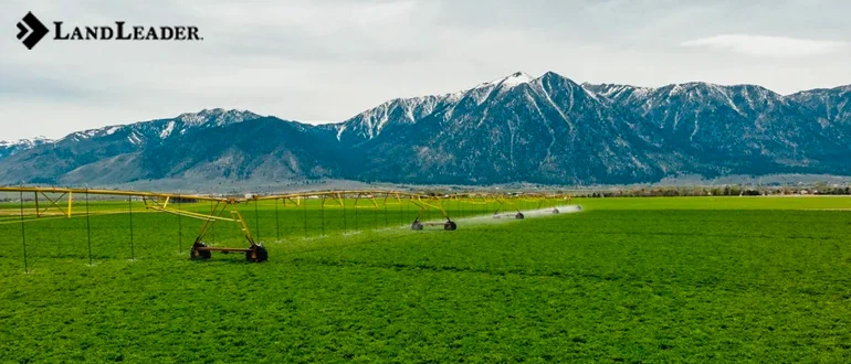 LandLeader Expert Insights