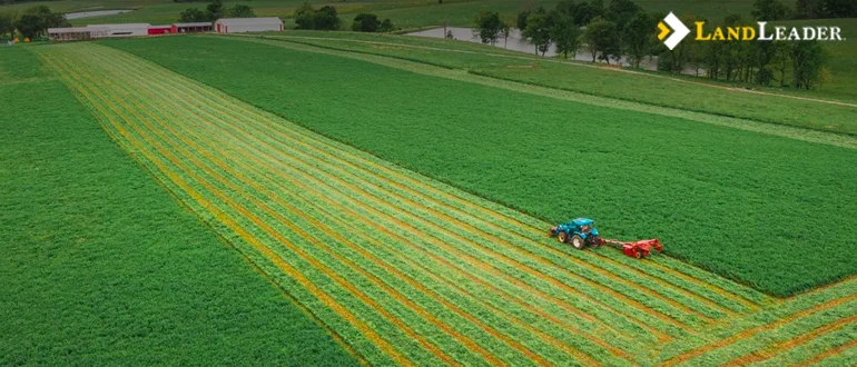 Large cattle ranches