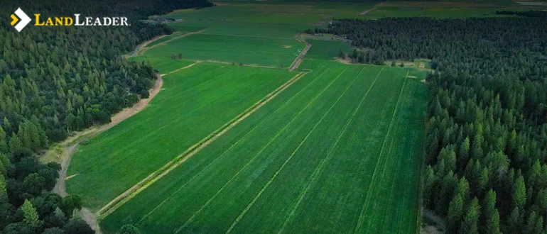 potential challenges