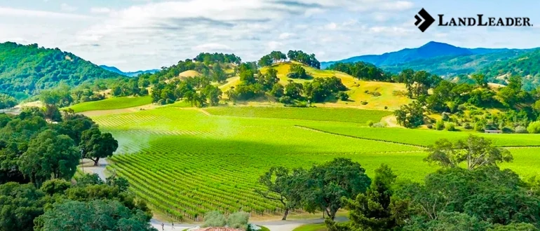 standing out with landleader