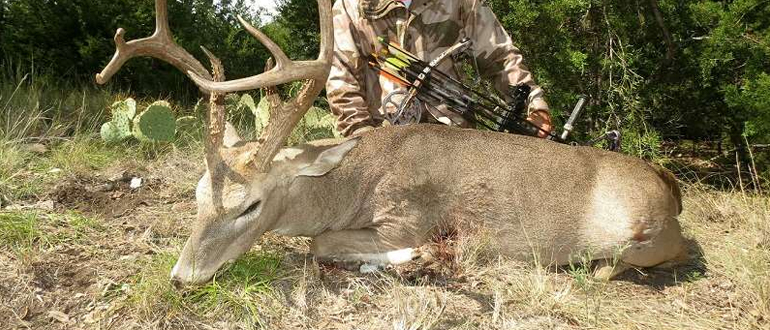 Texas deer hunting