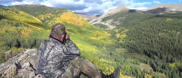 is hunting animal cruelty