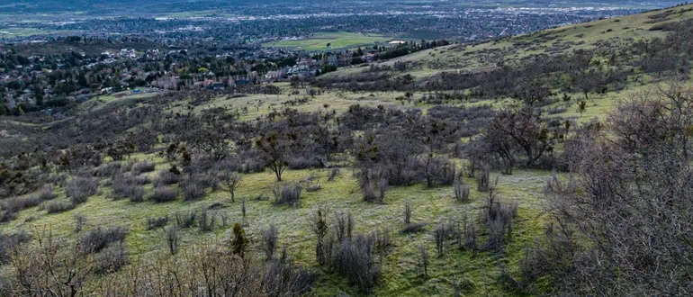 Qualified land agent