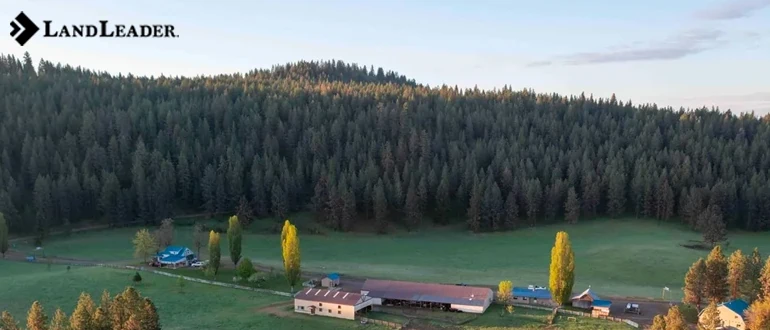 Understanding the appeal