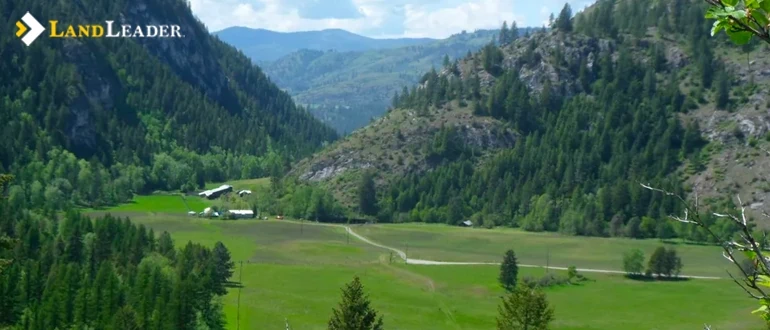 Washington timberland for sale