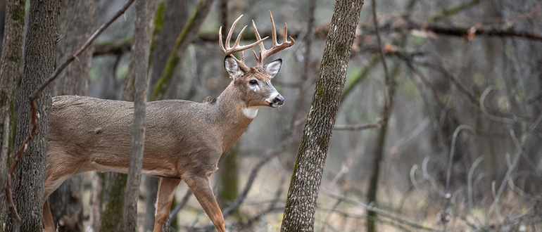 Wear camouflage that fits