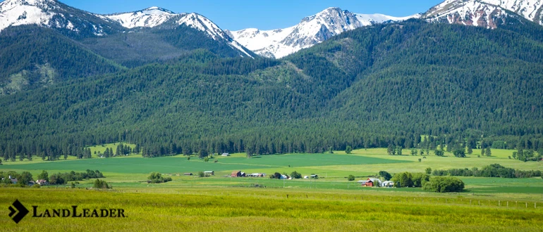 What do you need to know