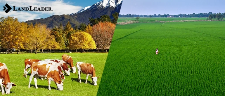 Difference Between Ranch and Farm