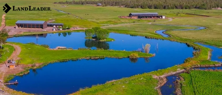 Working with real estate