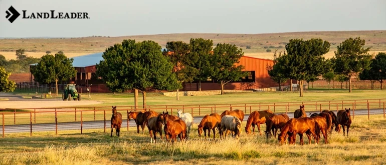 Deciphering the Ranch