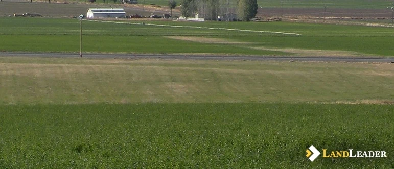 Who understands your goals