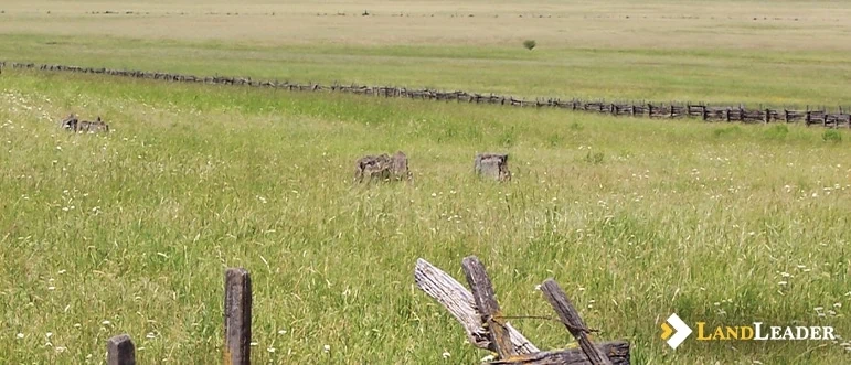 choose a real estate agent