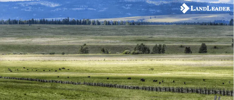 Fixes to your listing