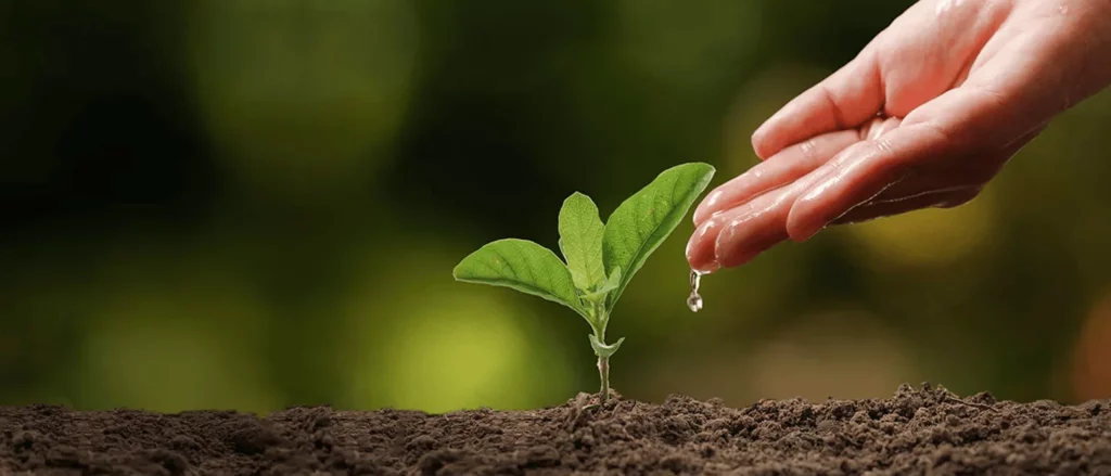 Innovative ways to save water