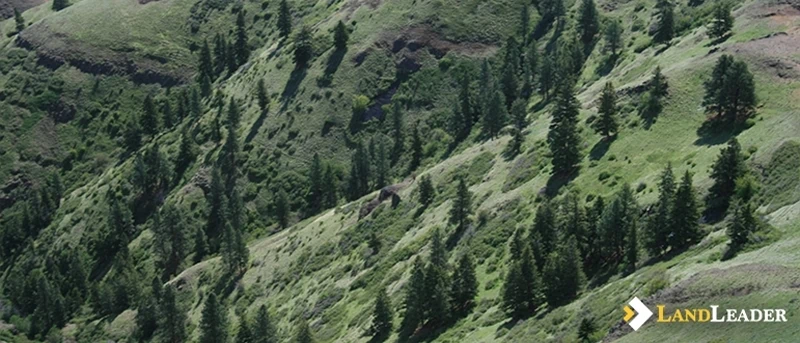 Its located in an undesirable area