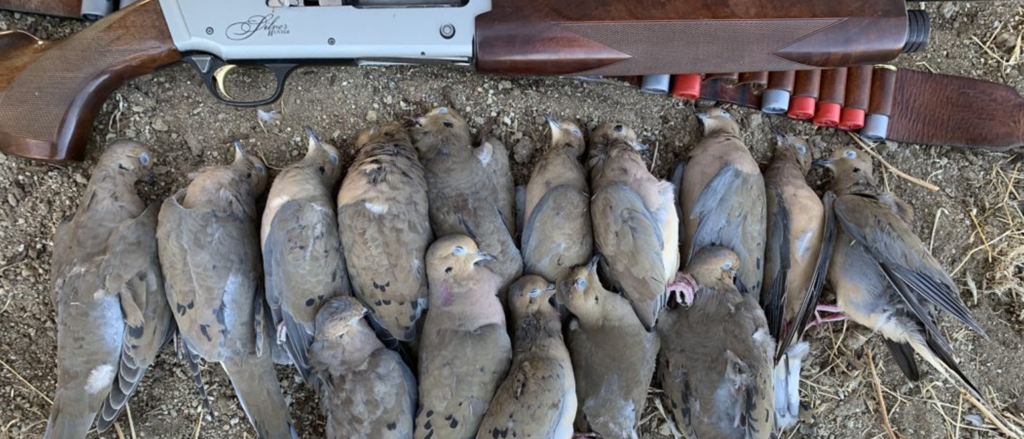 leveraging landleader