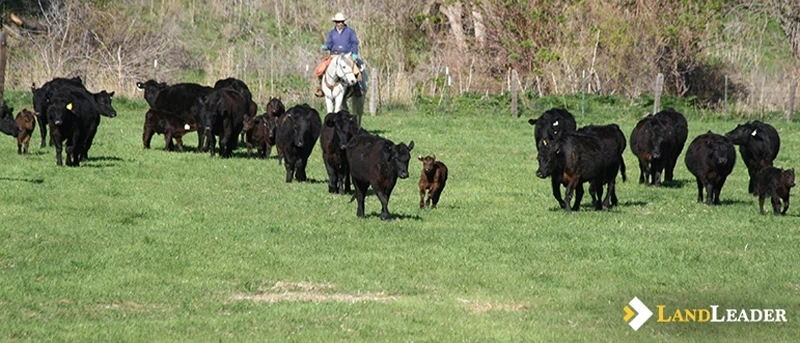 when your land isn't selling