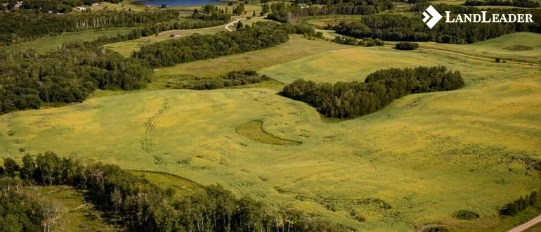 Provide Quantity and Quality