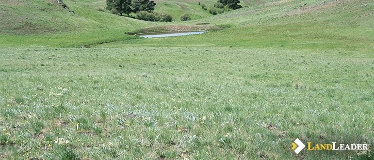 sell rural land at auction