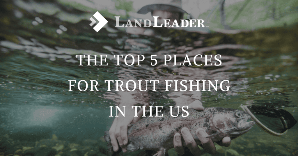 best trout fishing in the us