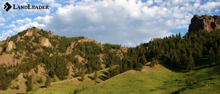 pool of informed buyers