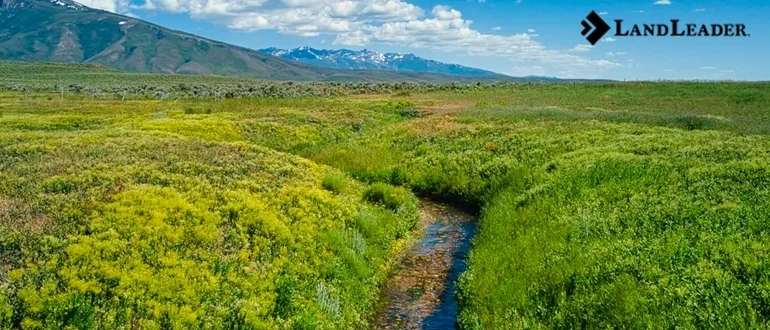 Waterfront Properties for Sale A Slice