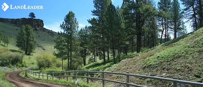 Competitive Advantage